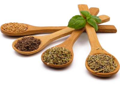 Herbs Spices for Dogs Preventive Vet